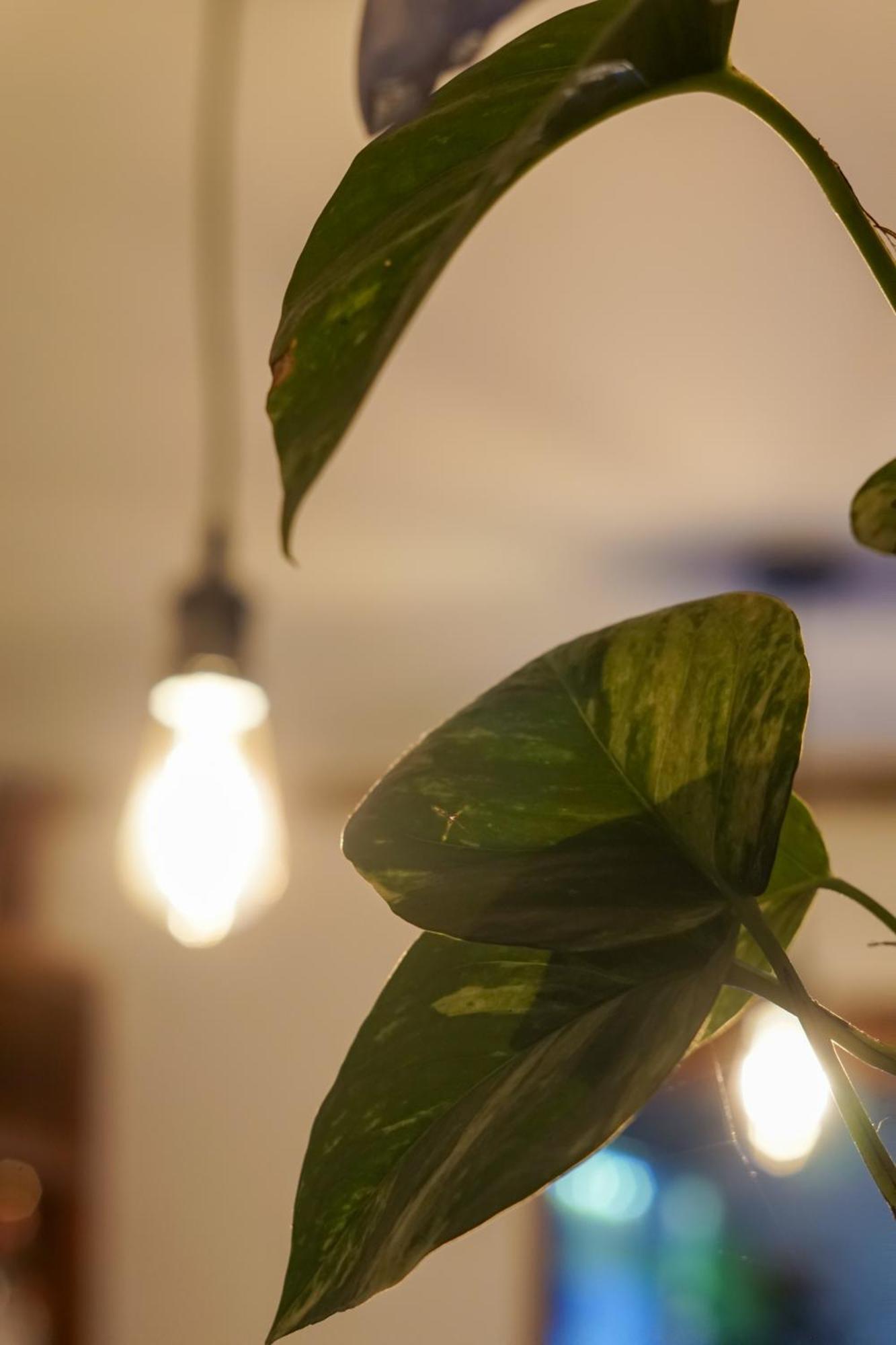 La Puesta Del Sol B&B คาร์ริลโล ภายนอก รูปภาพ